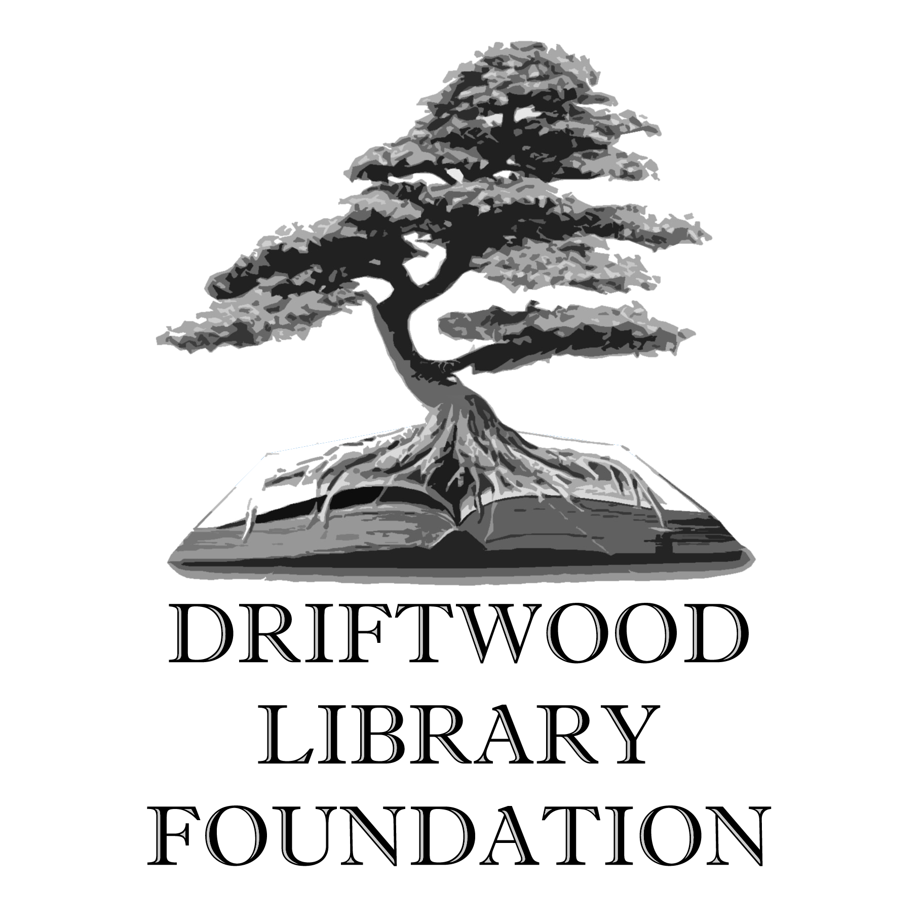Driftwood Library Foundation